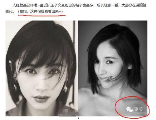 明星黑料最新,明星黑料曝光，真相背后引人深思-第1张图片-国产精品毛片无遮挡