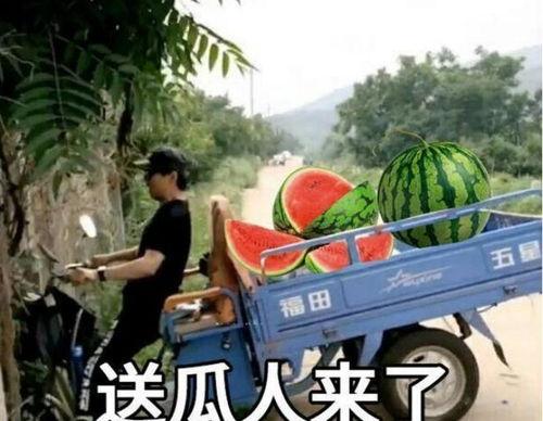 最近大瓜事件,揭秘明星隐私风波背后的真相-第1张图片-国产精品毛片无遮挡 最近大瓜事件,揭秘明星隐私风波背后的真相-第1张图片-国产精品毛片无遮挡