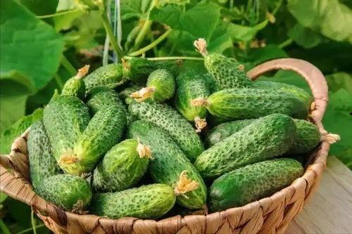 最近大瓜事件,揭秘明星隐私风波背后的真相-第2张图片-国产精品毛片无遮挡 最近大瓜事件,揭秘明星隐私风波背后的真相-第2张图片-国产精品毛片无遮挡