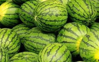 吃瓜网官网免费观看 吃瓜网官网,免费观看,畅享娱乐盛宴-第2张图片-国产精品毛片无遮挡 吃瓜网官网免费观看 吃瓜网官网,免费观看,畅享娱乐盛宴-第2张图片-国产精品毛片无遮挡