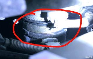 丈母娘买国产车子视频,惊艳表现引热议!-第2张图片-国产精品毛片无遮挡 丈母娘买国产车子视频,惊艳表现引热议!-第2张图片-国产精品毛片无遮挡