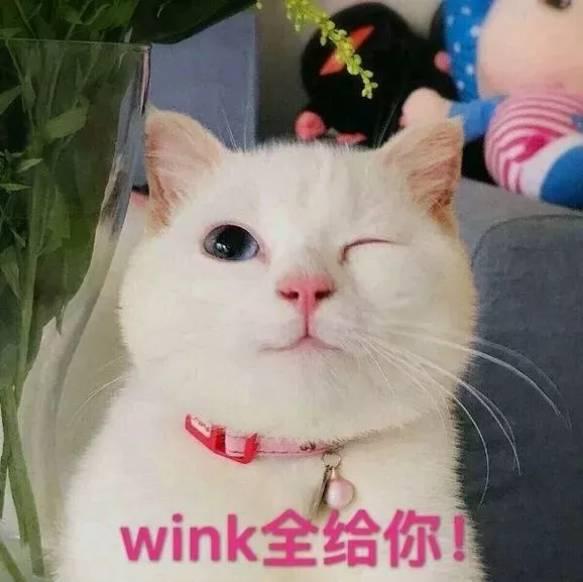 卡哇伊视频国产福利在线-第1张图片-国产精品毛片无遮挡 卡哇伊视频国产福利在线-第1张图片-国产精品毛片无遮挡