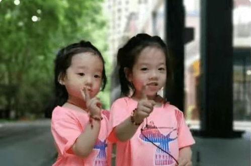 国产双飞双胞胎视频-第3张图片-国产精品毛片无遮挡