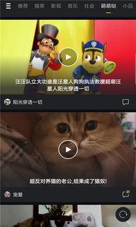 中文国产微拍视频,捕捉生活瞬间，展现时代风采-第1张图片-日韩国产一不卡在线观看