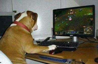 国产游戏搞笑骗局视频-第2张图片-日韩国产一不卡在线观看