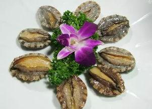 鲍鱼国产区别大吗视频,国产鲍鱼品质大比拼-第1张图片-日韩国产一不卡在线观看