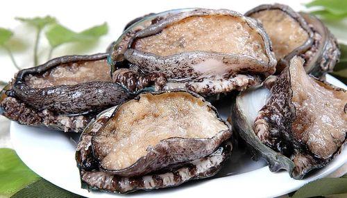 鲍鱼国产区别大吗视频,国产鲍鱼品质大比拼-第2张图片-日韩国产一不卡在线观看