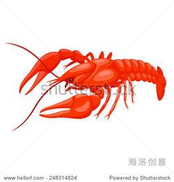 国产小龙虾图片高清视频,高清视觉盛宴下的美食探寻之旅-第2张图片-日韩国产一不卡在线观看